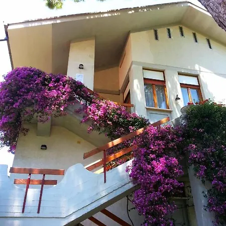 B&B Villa Fiorella-2